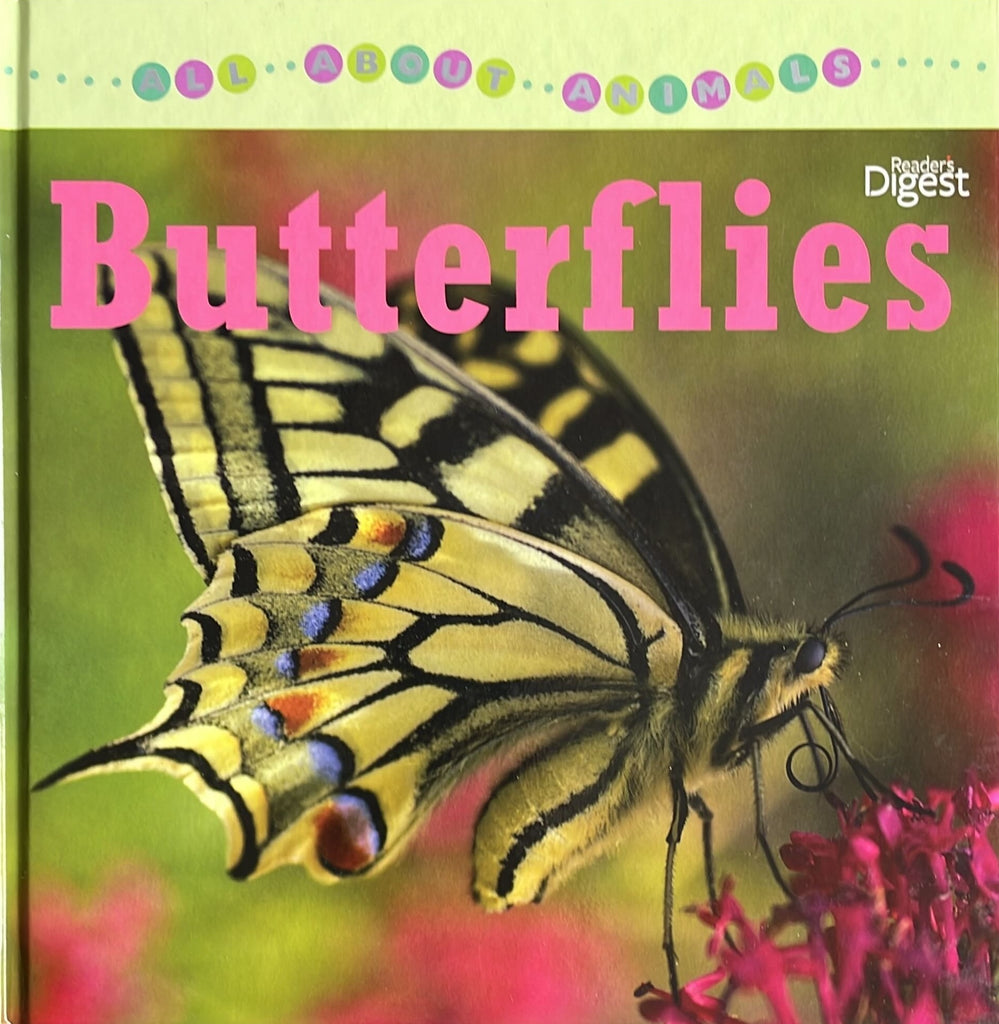 All About Animals : Butterflies