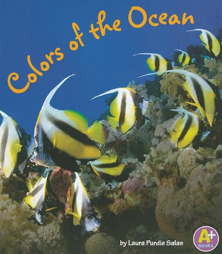 Colors Of The Ocean